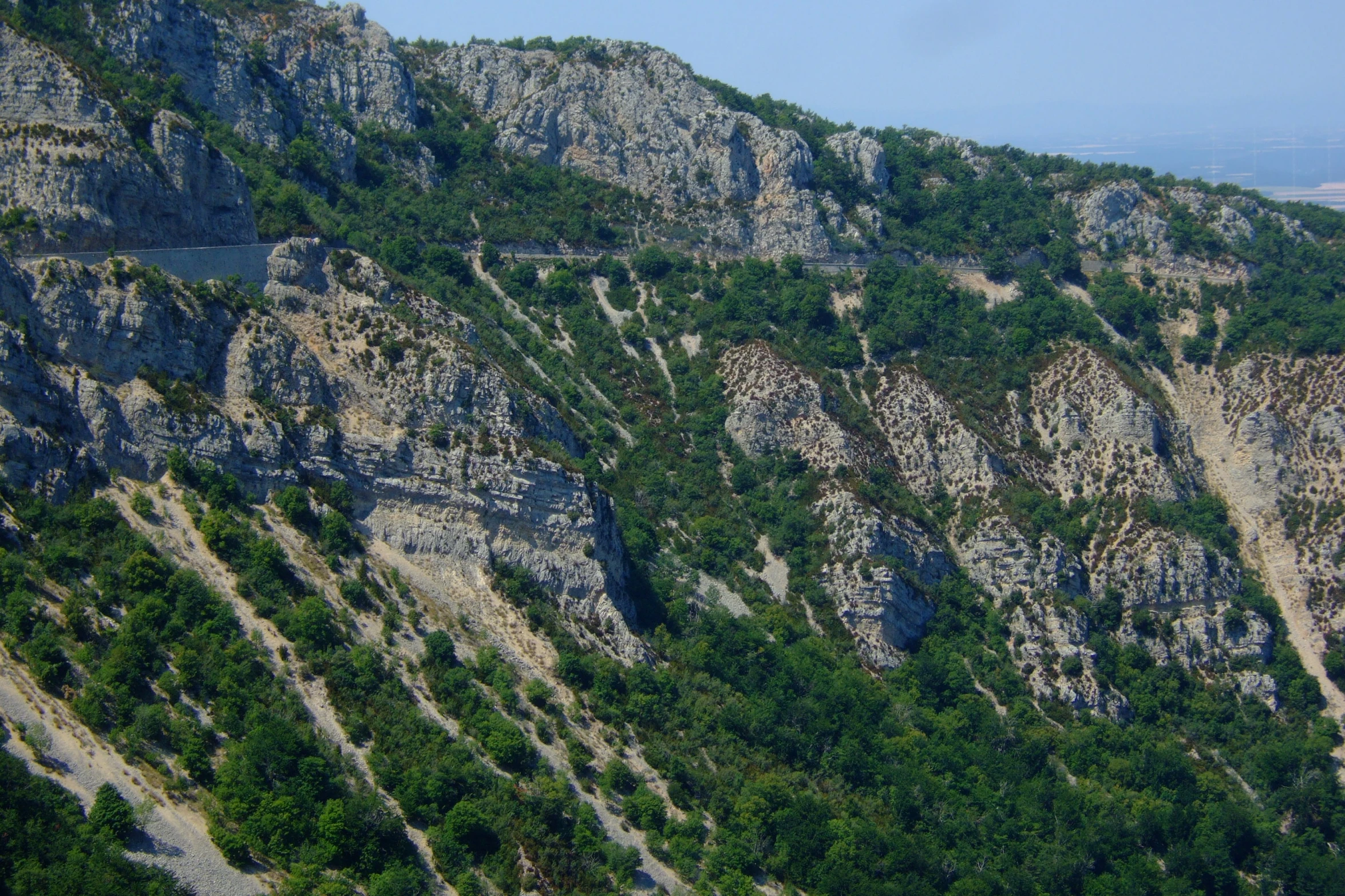 a steep rocky area with a lush green forest