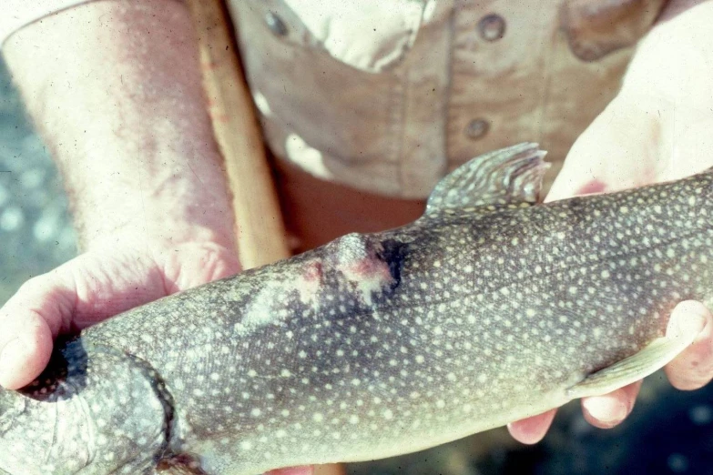 a man holding up a fish while wearing a brown shirt