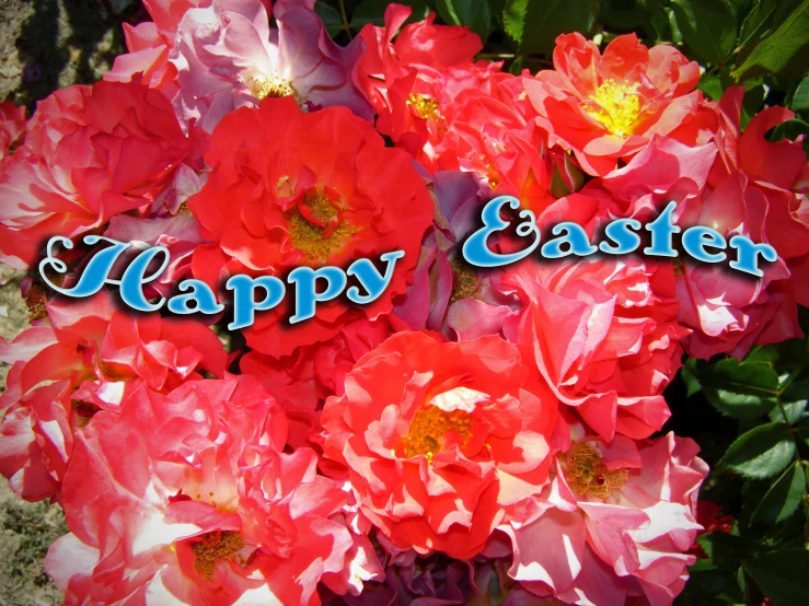 the words happy easter are in the center of pink flowers