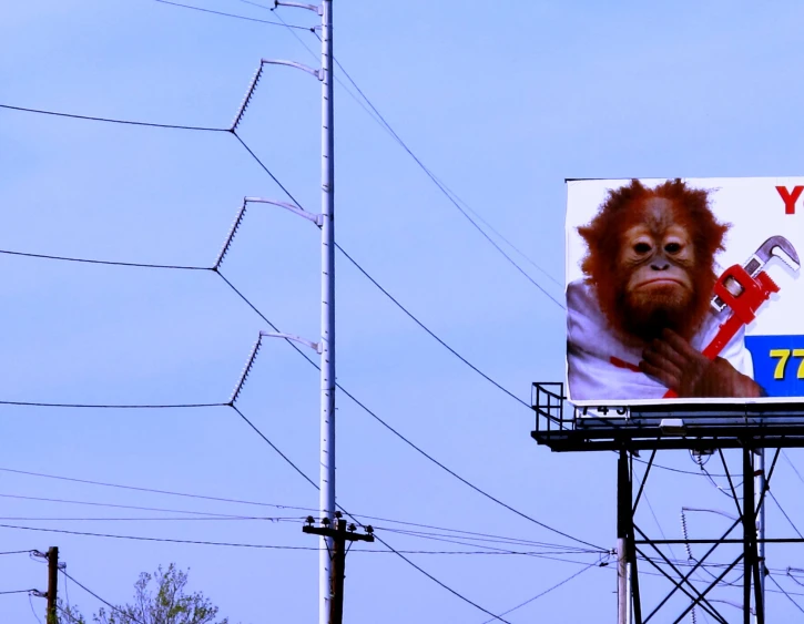 an advertit for the new jersey giant hair combers