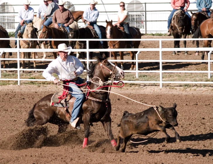 a man is trying to lasso a bull in a rodeo