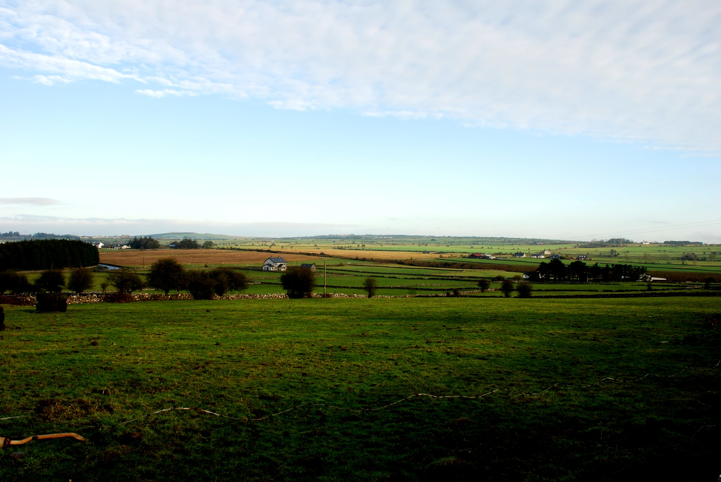 an open field with trees and animals grazing