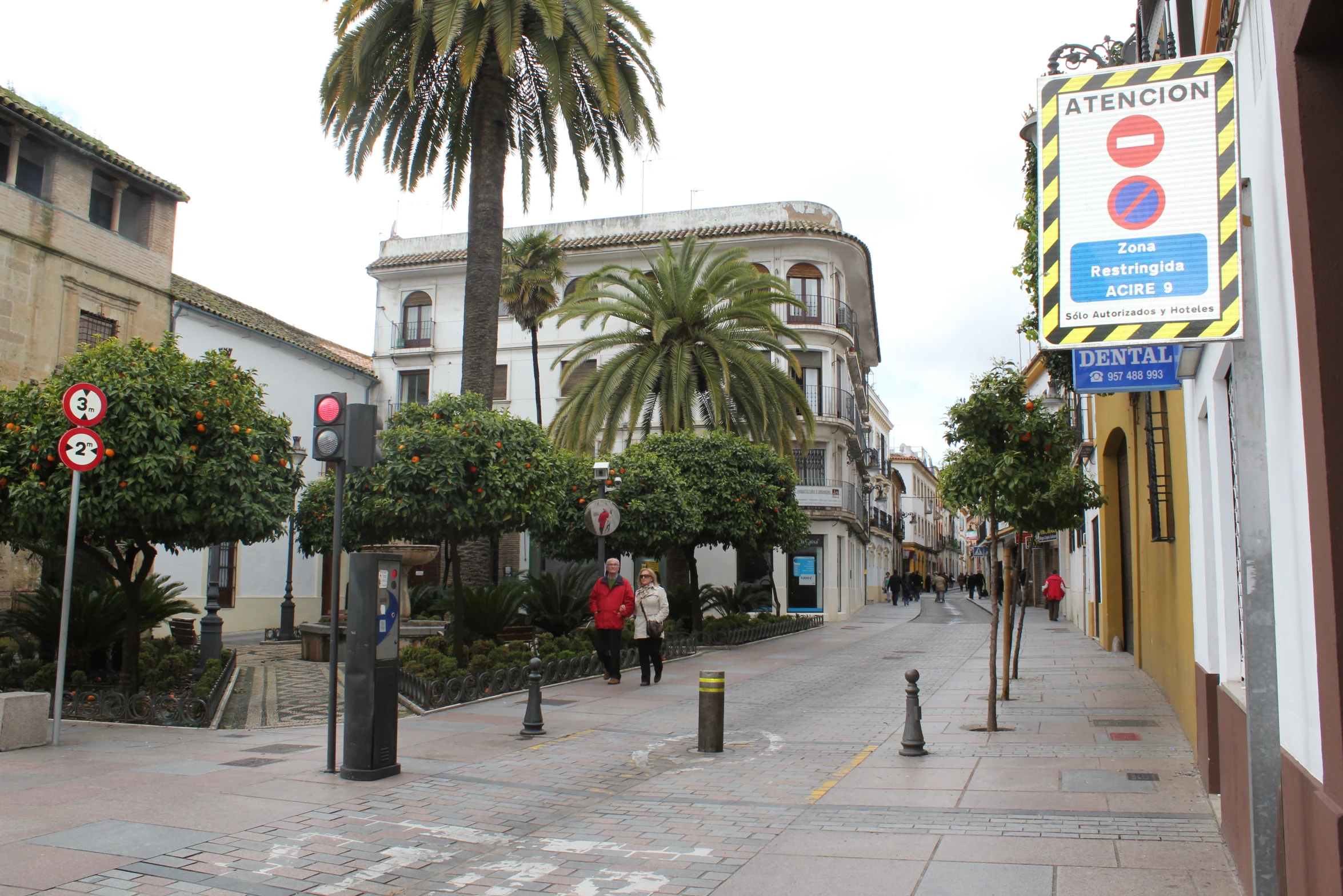 a quiet city street with palm trees and pedestrians