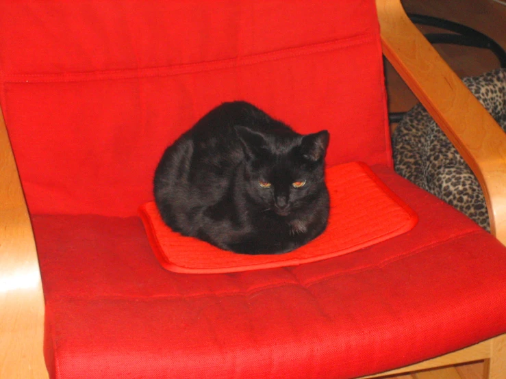 a black cat sitting on top of a red chair
