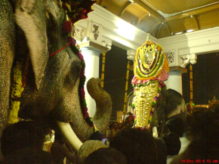 the large decorated elephant is standing near an audience