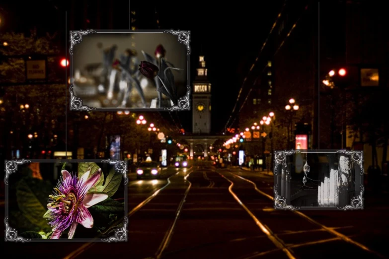 a set of four pographs, a street light, and some flowers