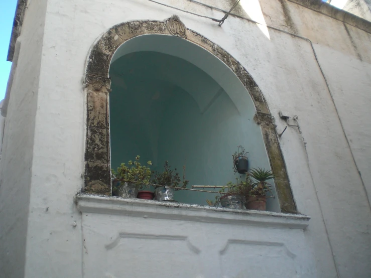 pots and plants on the edge of an arched window