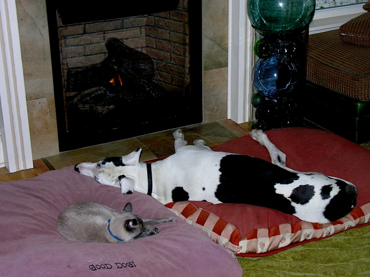 two cats sleeping on pillows in front of a fire place