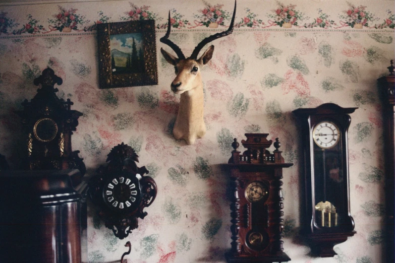 a wall with clocks and deer's head on the wall