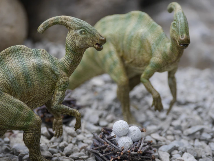 two plastic dinosaurs standing in gravel and rocks