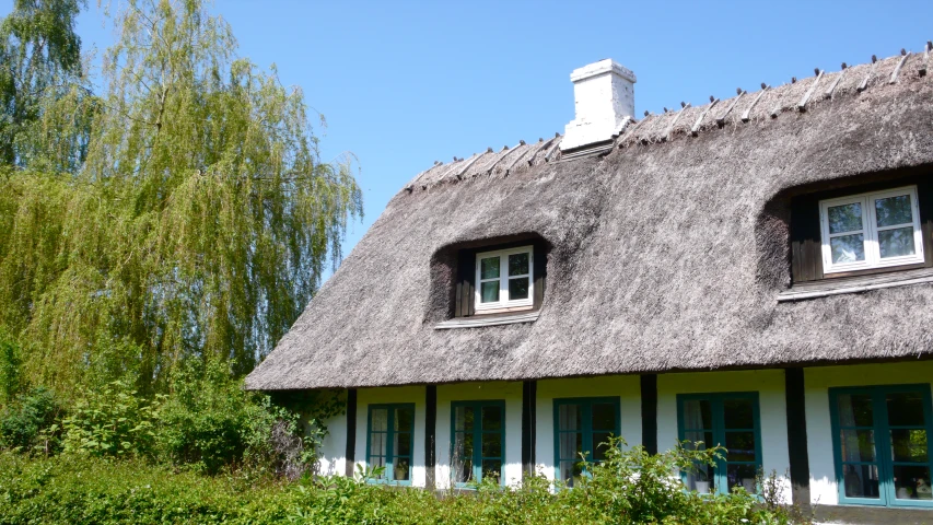 the windows in this house look like thatched roofs