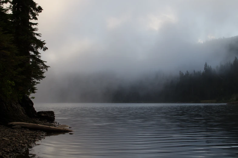 an empty, still lake sits surrounded by trees