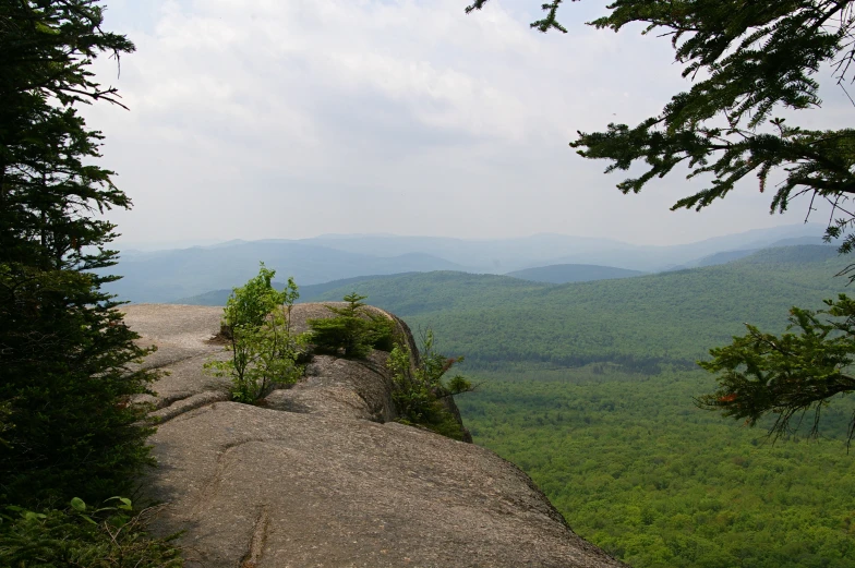 a small tree sits on the edge of a rock wall looking at a valley