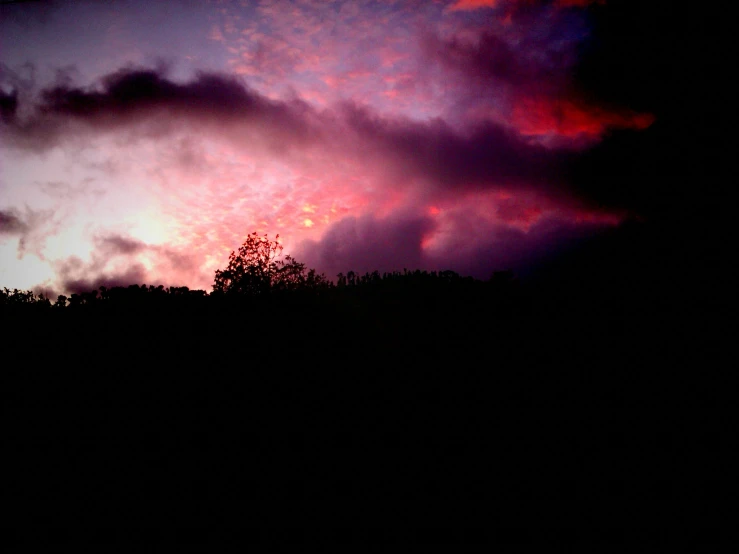 a sunset seen from behind some trees under the purple sky