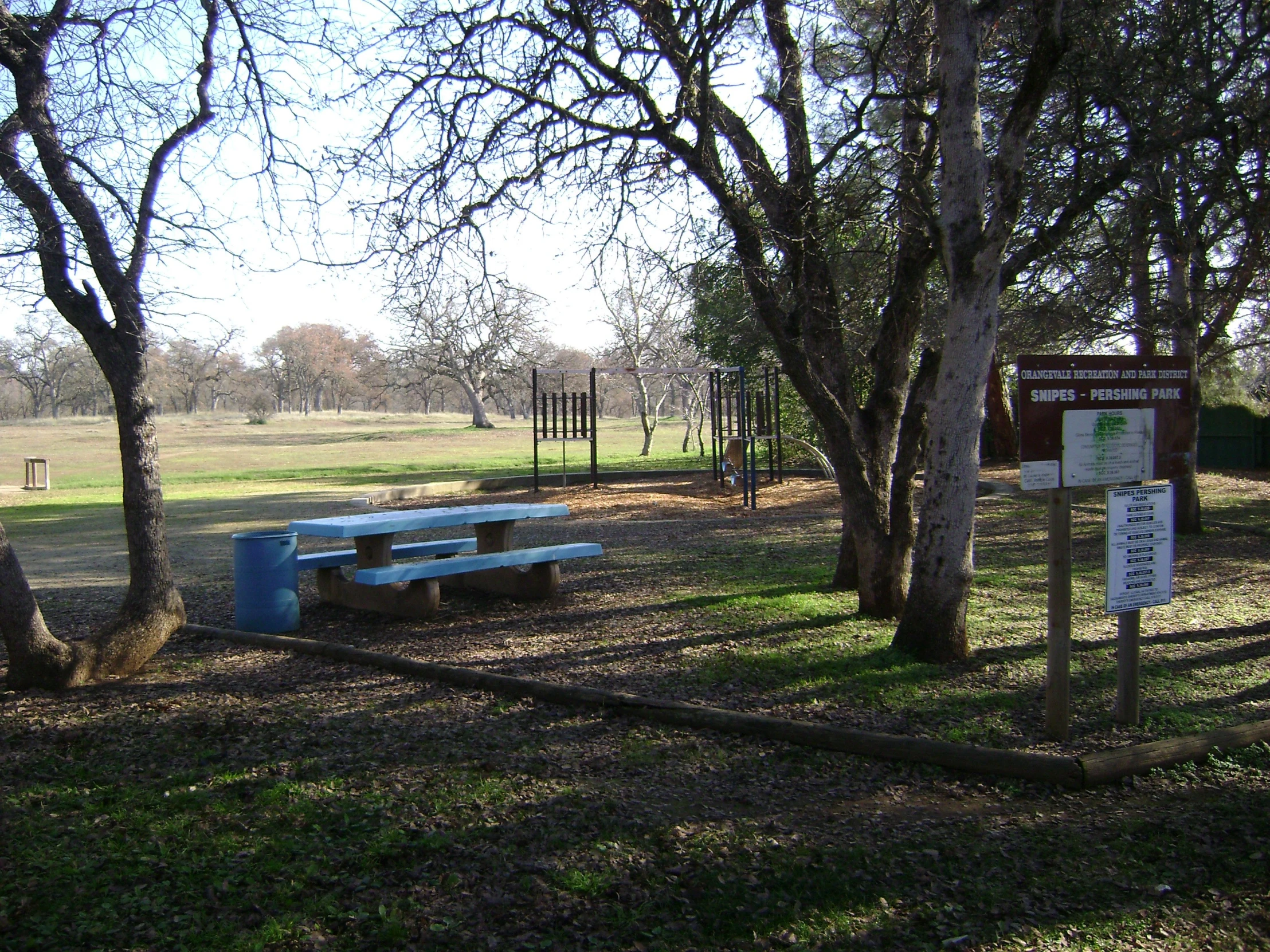 a bunch of wooden benches in a wooded area