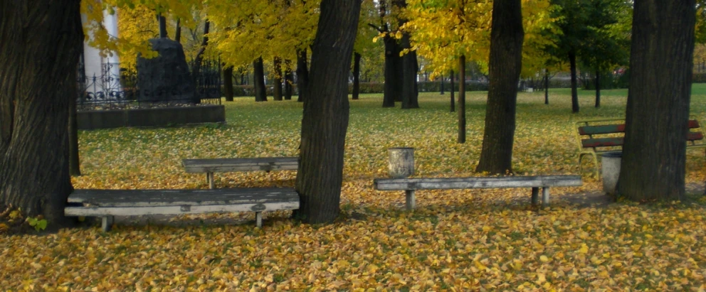 two empty park benches sitting underneath a group of trees