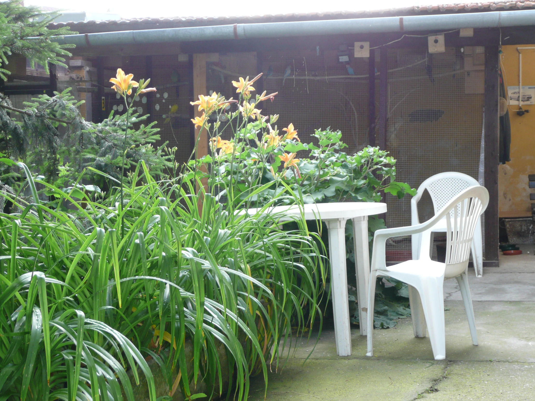 there is a white table and chair near some plants