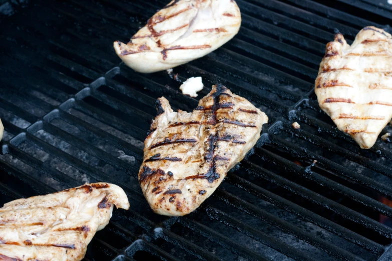 grilled chicken  on a bbq grill