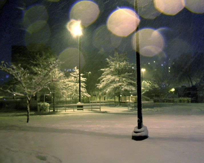 an icy park at night with some snow and street lamps