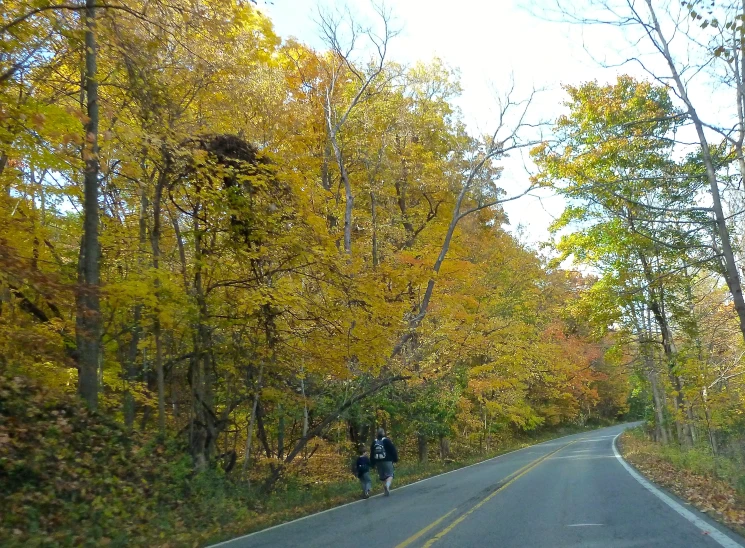 the trees are changing colors and green to orange