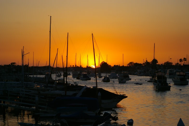 a lot of boats out on the water at sunset