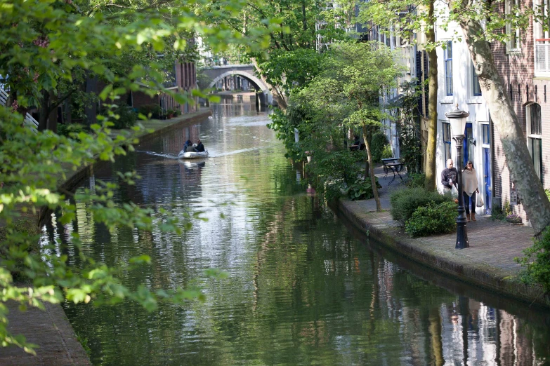 a small river is shown near some trees