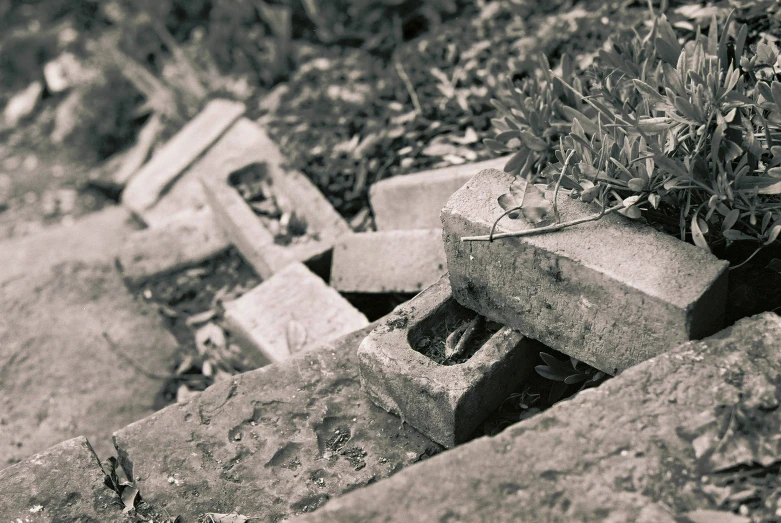 cement bricks and dirt have been placed on the ground