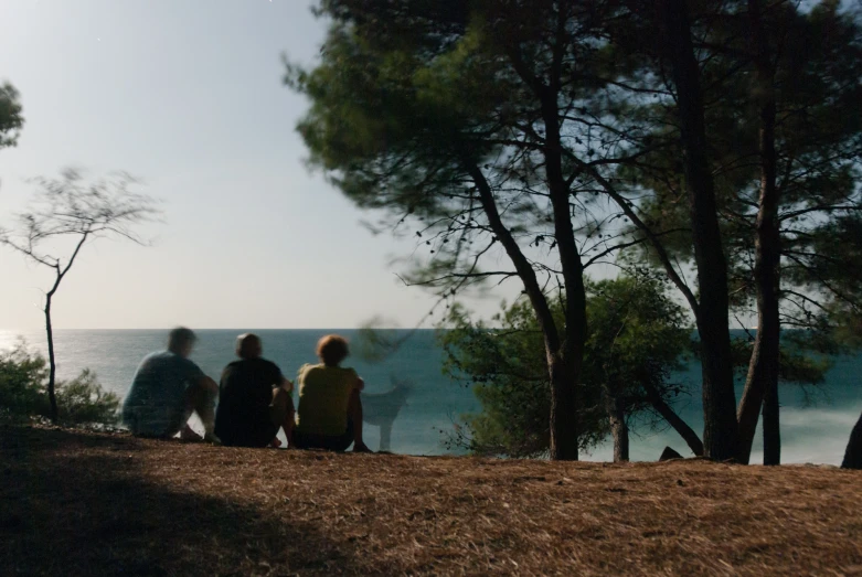 three people sitting on a hill near a tree