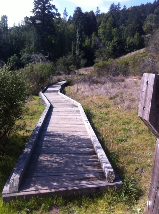 this is a wooden boardwalk over a grassy field