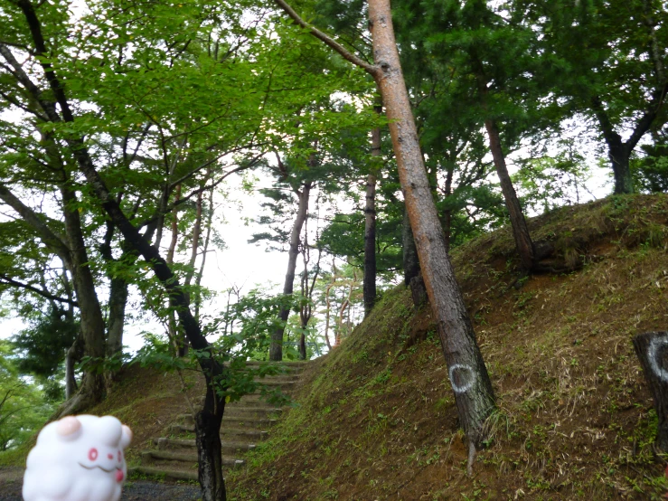 a little white bear is looking at the tree