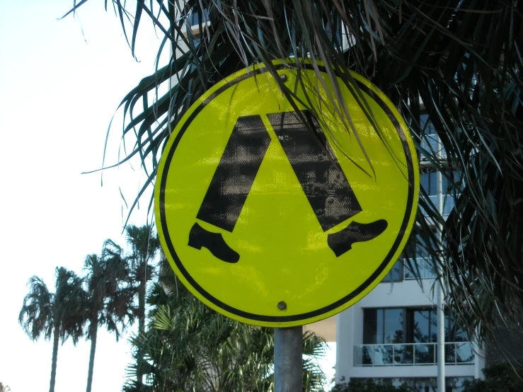 a yellow sign is hanging on a palm tree