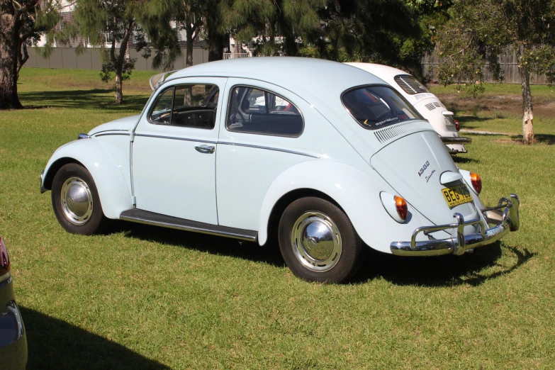 an old white beetle parked on the grass