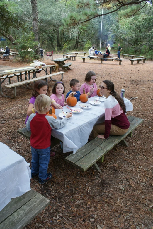 the s are eating at the picnic table