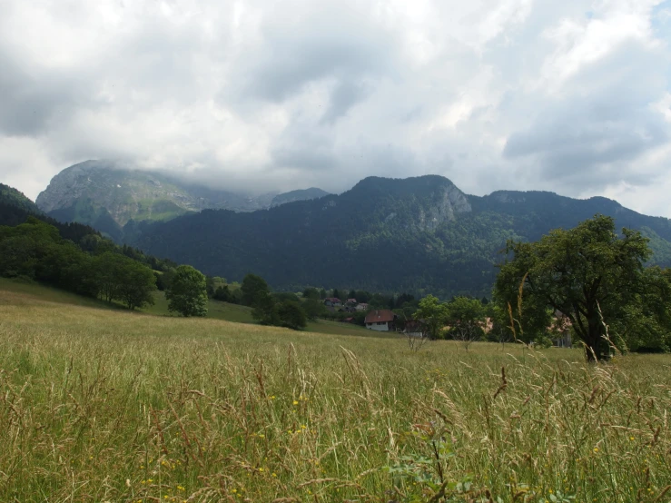 a big field with some mountains in the background