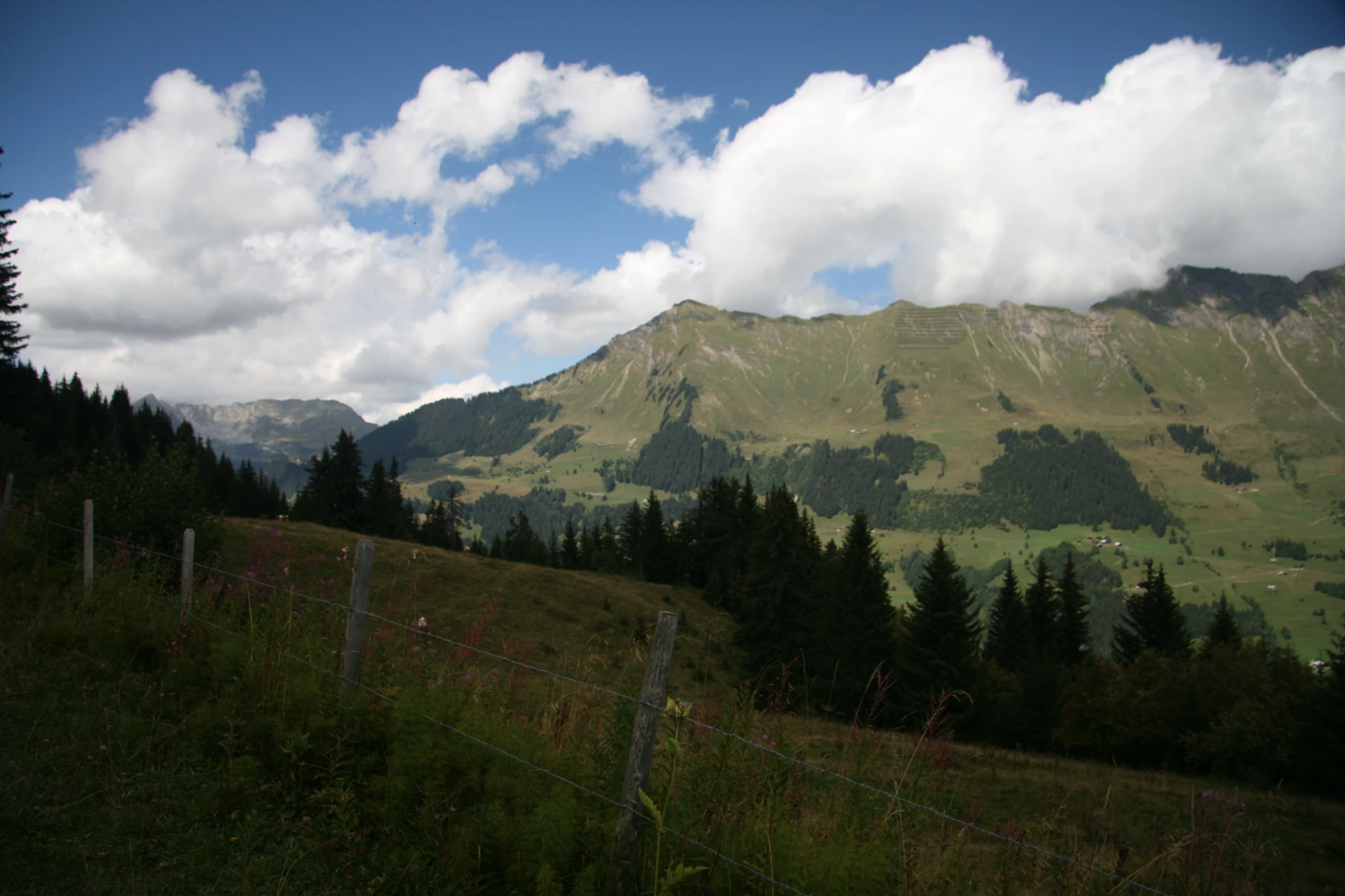 a mountain covered in mountains and trees on a cloudy day