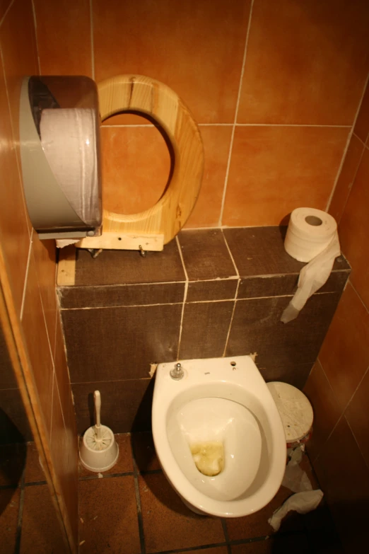 a toilet bowl is near the toilet paper