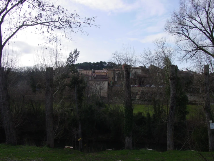 some tall trees sitting in the grass with a big building behind them