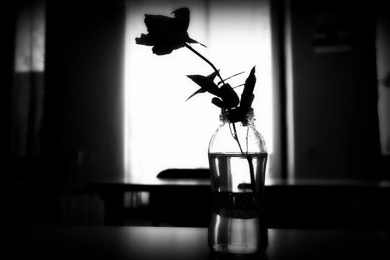 a glass vase full of flowers on a table