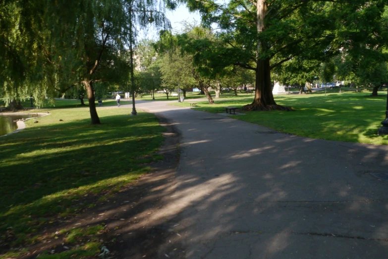 a path that runs past trees and water