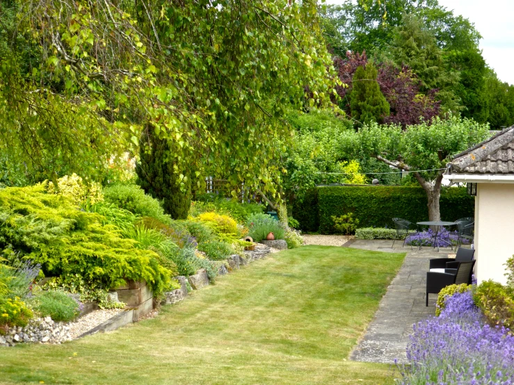 a grassed area near a large green bush and shrubbery