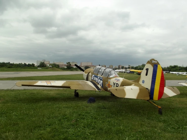 small plane on grassy area with cloudy sky