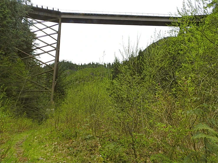 a very tall bridge over a small hill