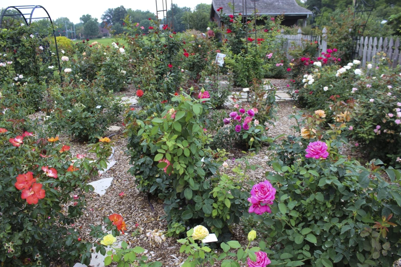 a very large flower garden with many flowers around it