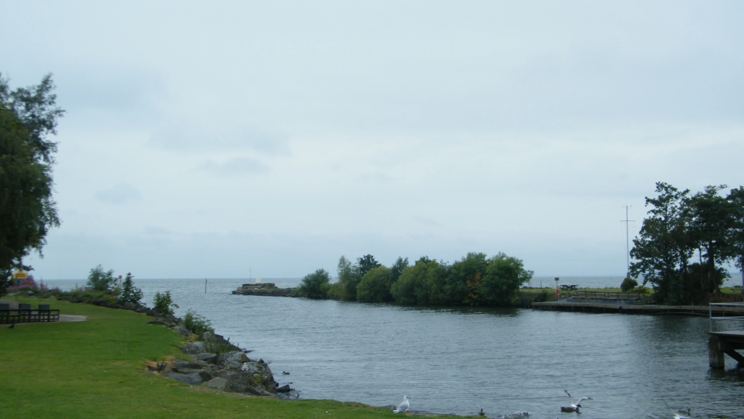 a waterway on a cloudy day with ducks swimming in it