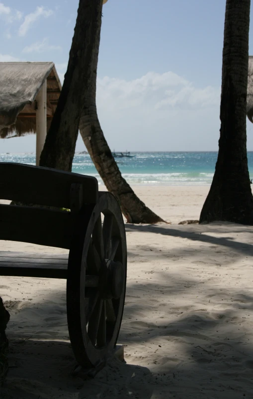 a bench that is sitting under a tree