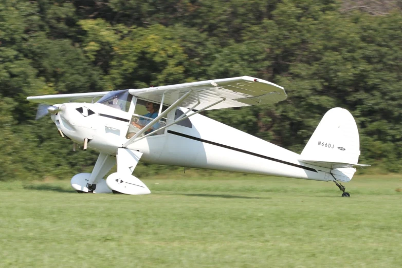 the small plane is on the grass by itself