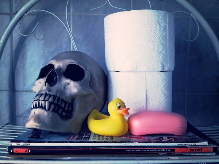 a skull sitting next to a bunch of books, with a rubber duck in front of it