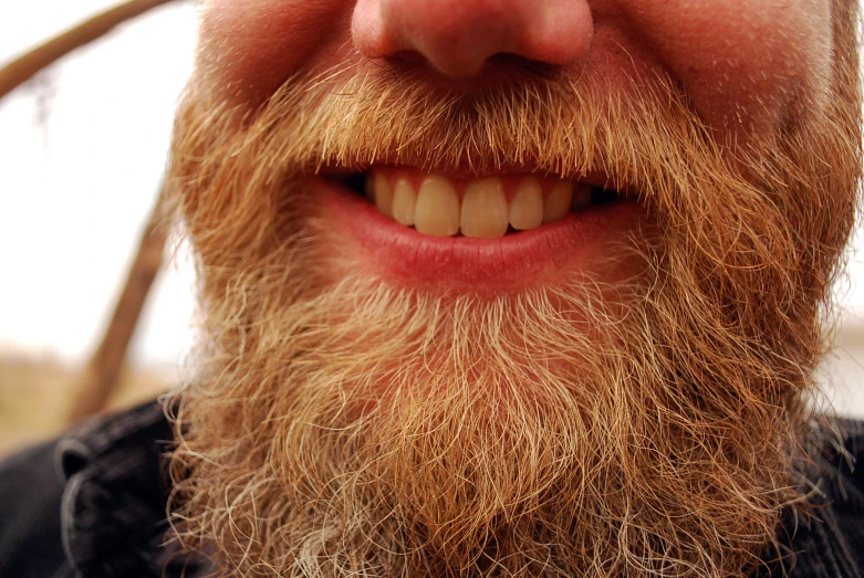 a smiling man with a beard and bearding