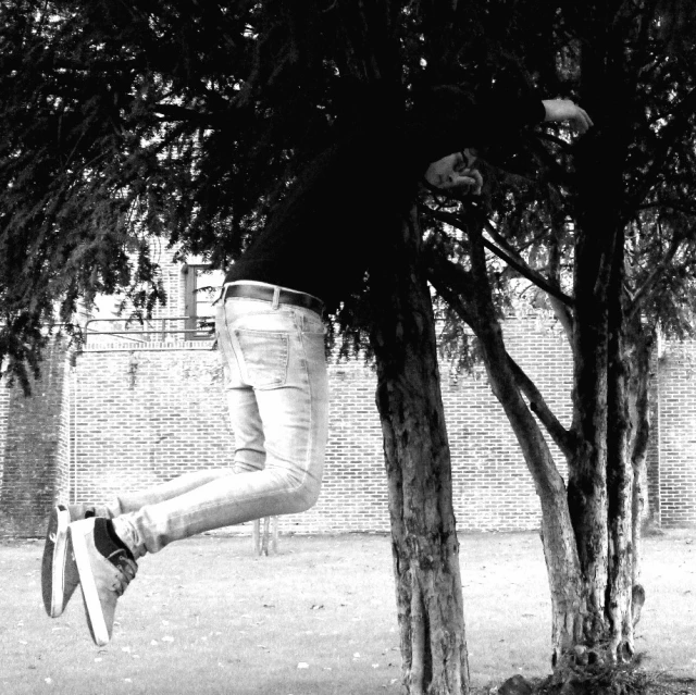 a man that is swinging on a rope near a tree