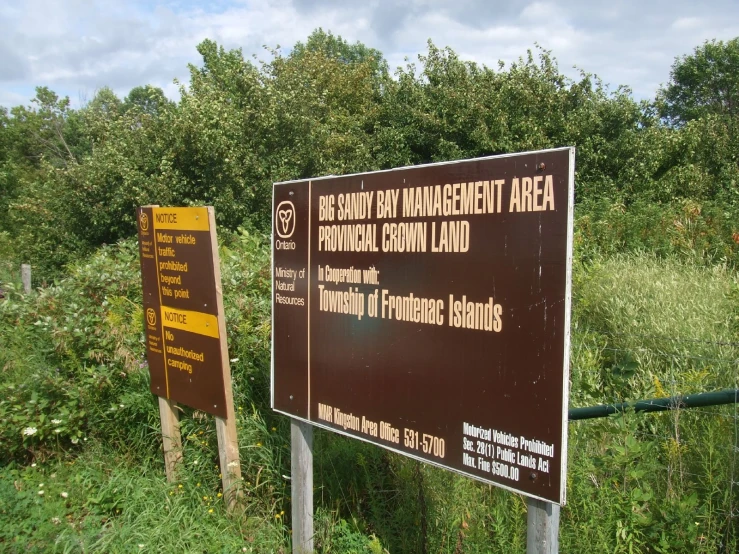 two brown and yellow signs near the woods